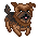 Norfolk Terrier Dog by Twice The Pixels