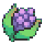 Pokemon Berry by Pokemon Personalities