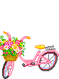 Pink Bike by Unknown